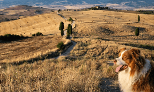 Tuscany